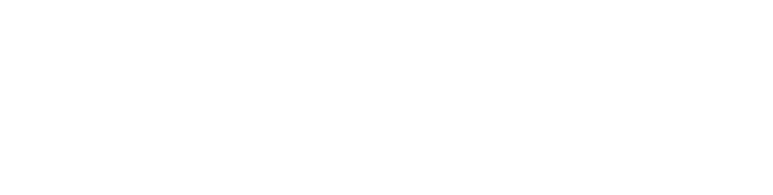 DIIV Logo
